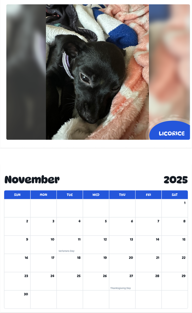 July 2025 - June 2026 Licorice - Pawidols Pet Calendar