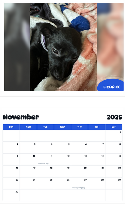 July 2025 - June 2026 Licorice - Pawidols Pet Calendar