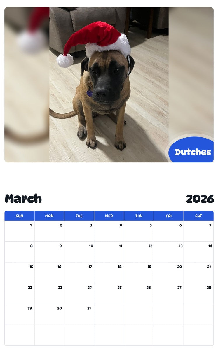 November 2025 - October 2026 Dutches - Pawidols Pet Calendar