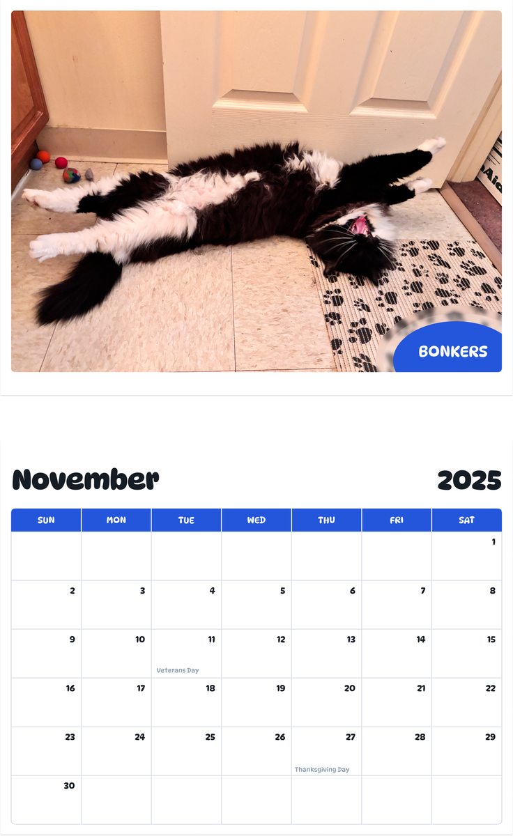 July 2025 - June 2026 Bonkers - Pawidols Pet Calendar