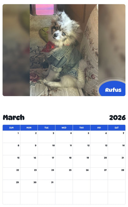 November 2025 - October 2026 Rufus - Pawidols Pet Calendar