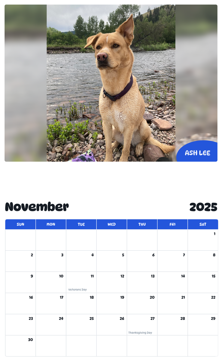 July 2025 - June 2026 Ash Lee - Pawidols Pet Calendar