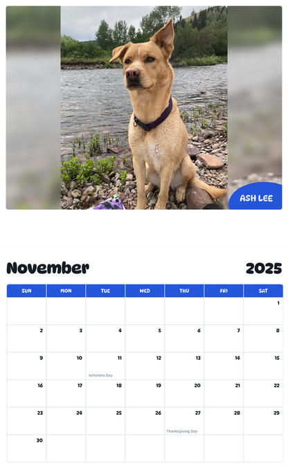 July 2025 - June 2026 Ash Lee - Pawidols Pet Calendar