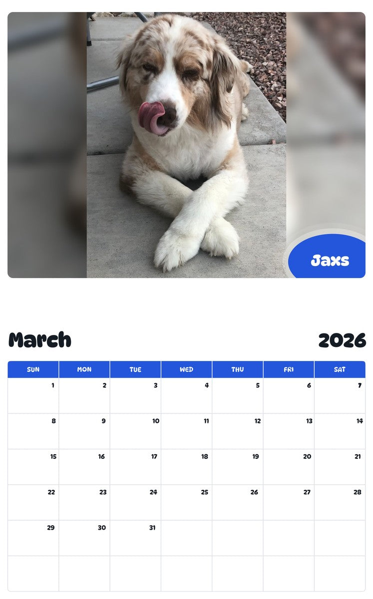 November 2025 - October 2026 Jaxs - Pawidols Pet Calendar
