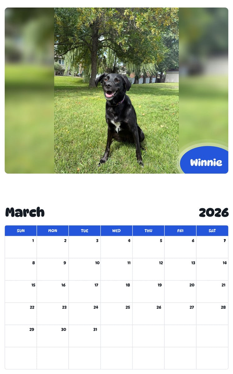 November 2025 - October 2026 Winnie - Pawidols Pet Calendar