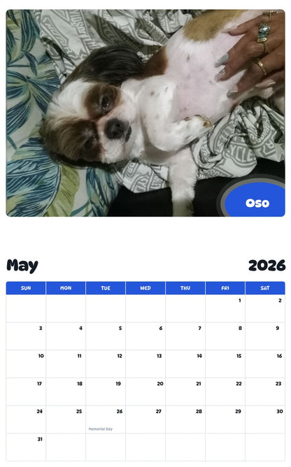 2026 - 2027 Oso - Pawidols Pet Calendar