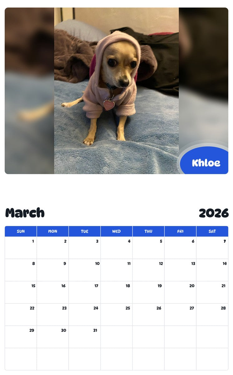 November 2025 - October 2026 Khloe - Pawidols Pet Calendar