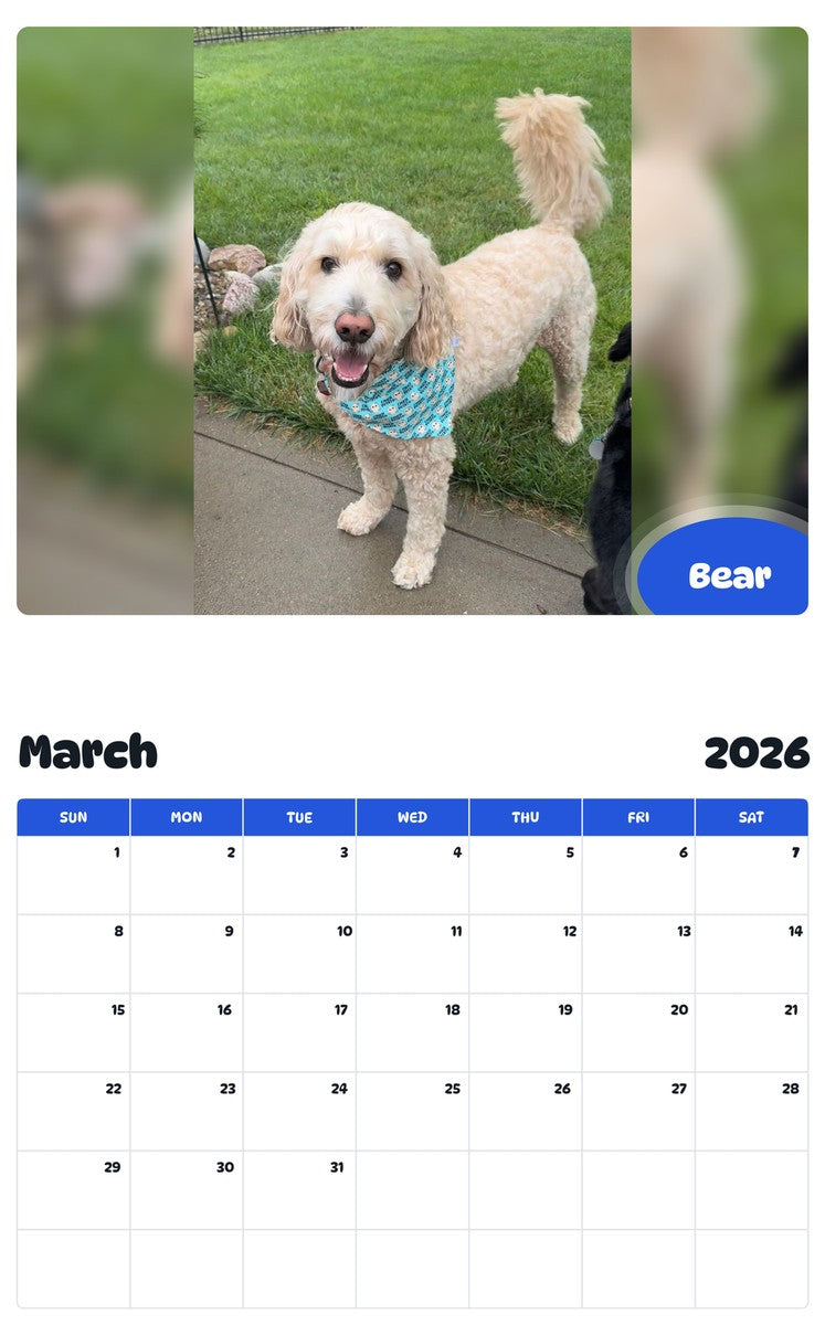 November 2025 - October 2026 Bear - Pawidols Pet Calendar