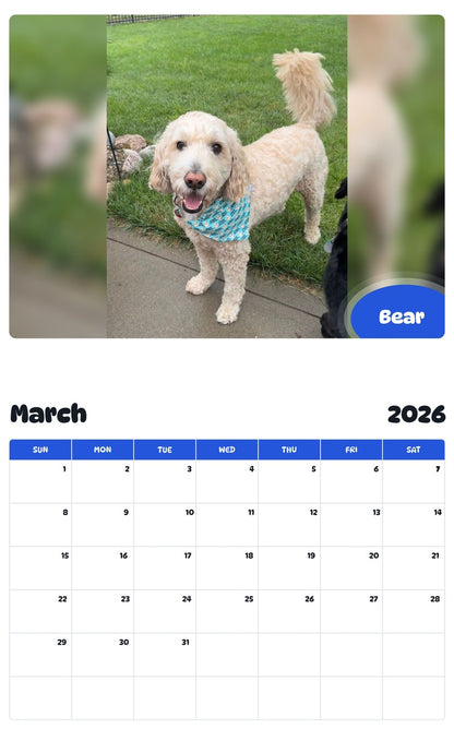 November 2025 - October 2026 Bear - Pawidols Pet Calendar