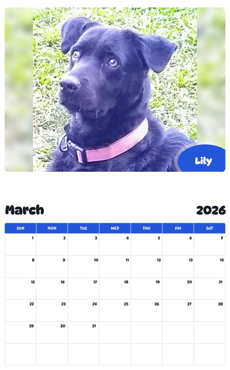 November 2025 - October 2026 Lily - Pawidols Pet Calendar