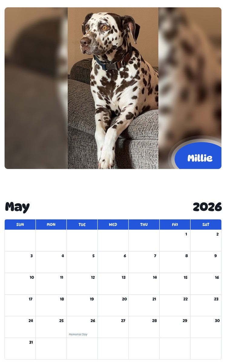 2026 - 2027 Millie - Pawidols Pet Calendar