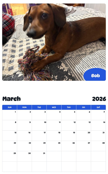 November 2025 - October 2026 Bob - Pawidols Pet Calendar
