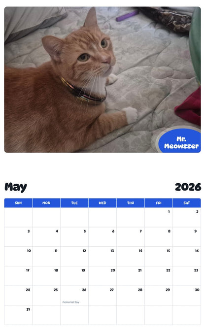 2026 - 2027 Mr. Meowzzer - Pawidols Pet Calendar