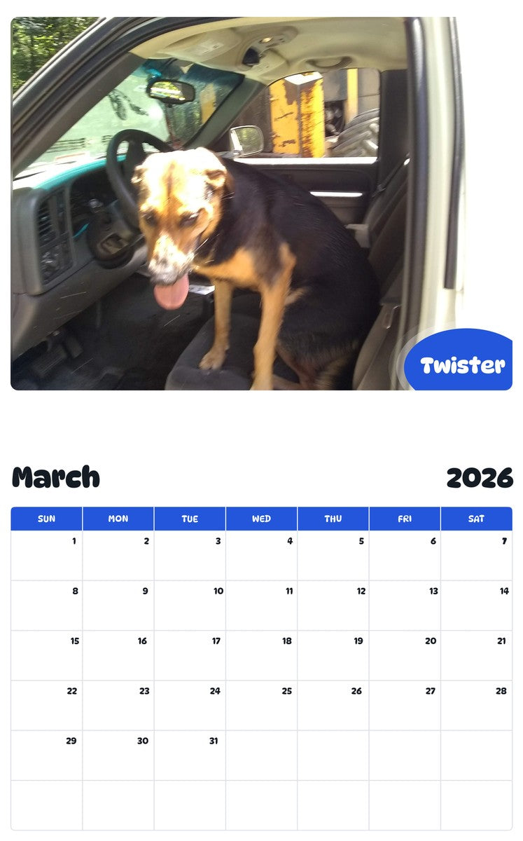 November 2025 - October 2026 Twister - Pawidols Pet Calendar
