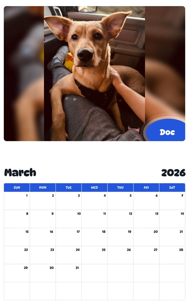 November 2025 - October 2026 Doc - Pawidols Pet Calendar