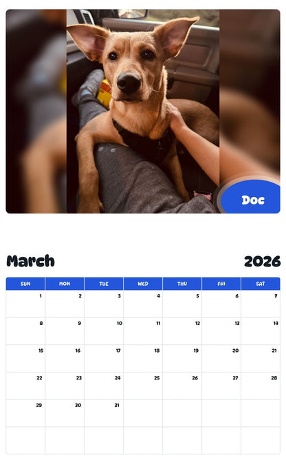 November 2025 - October 2026 Doc - Pawidols Pet Calendar