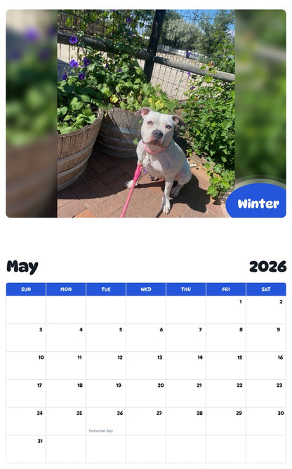 2026 - 2027 Winter - Pawidols Pet Calendar
