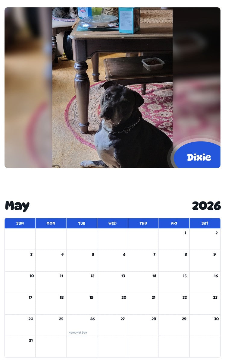2026 - 2027 Dixie - Pawidols Pet Calendar