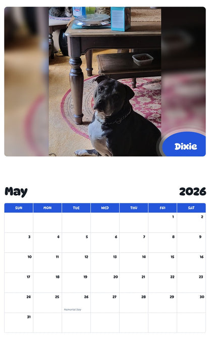 2026 - 2027 Dixie - Pawidols Pet Calendar