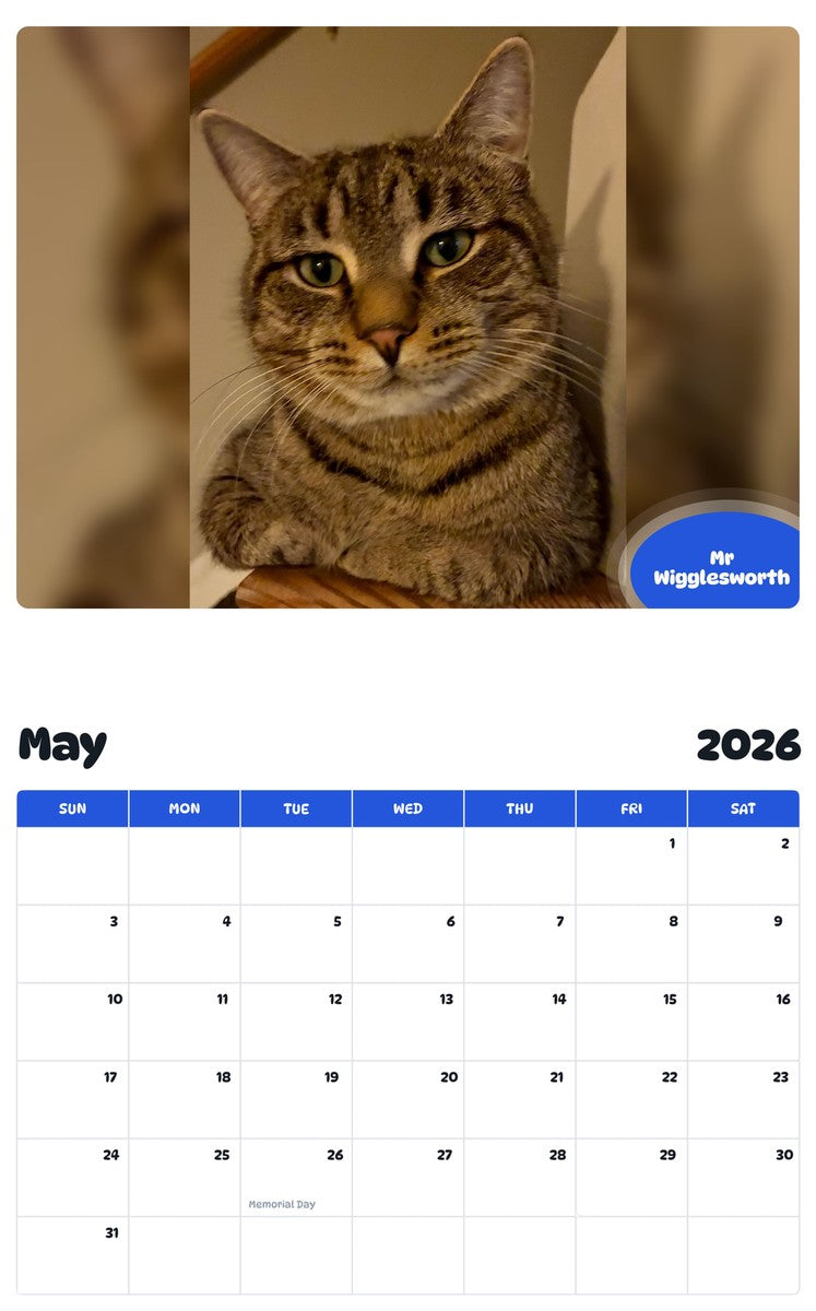 2026 - 2027 Mr Wigglesworth - Pawidols Pet Calendar