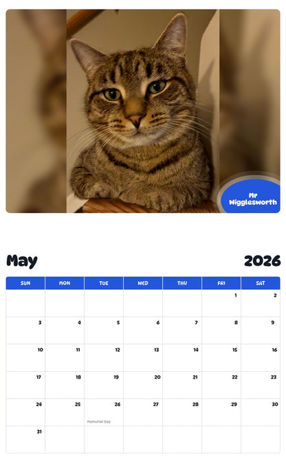 2026 - 2027 Mr Wigglesworth - Pawidols Pet Calendar