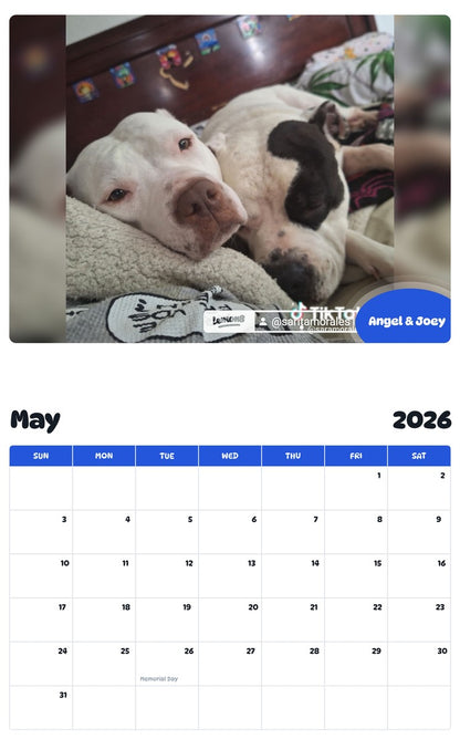 2026 - 2027 Angel & Joey - Pawidols Pet Calendar