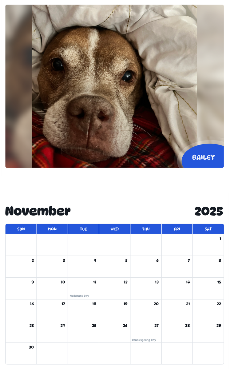 July 2025 - June 2026 Bailey - Pawidols Pet Calendar