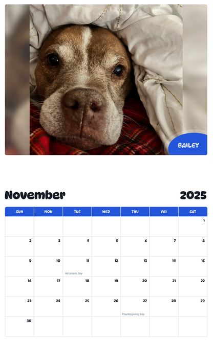 July 2025 - June 2026 Bailey - Pawidols Pet Calendar