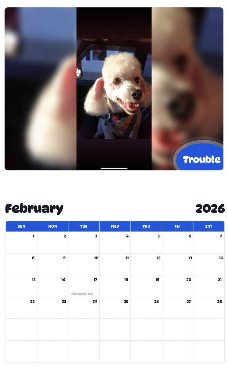 October 2025 - September 2026 Trouble - Pawidols Pet Calendar