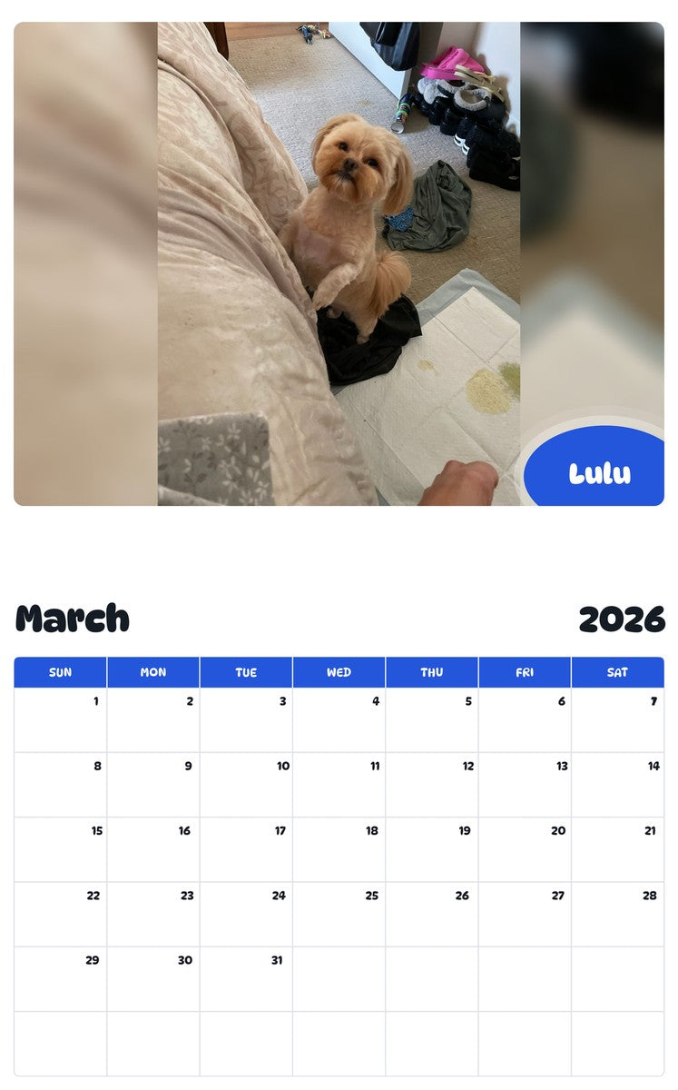 November 2025 - October 2026 Lulu - Pawidols Pet Calendar