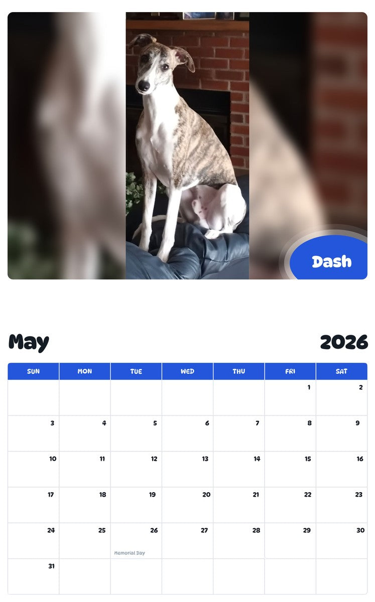 2026 - 2027 Dash - Pawidols Pet Calendar