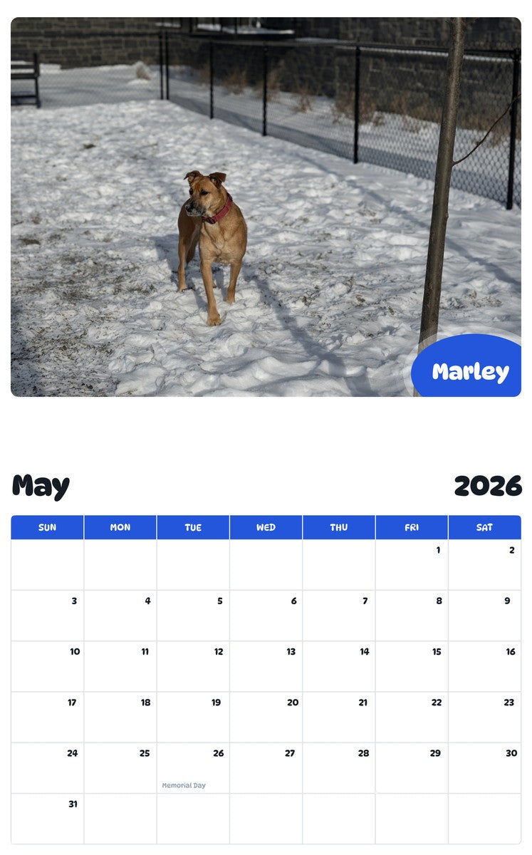 2026 - 2027 Marley - Pawidols Pet Calendar