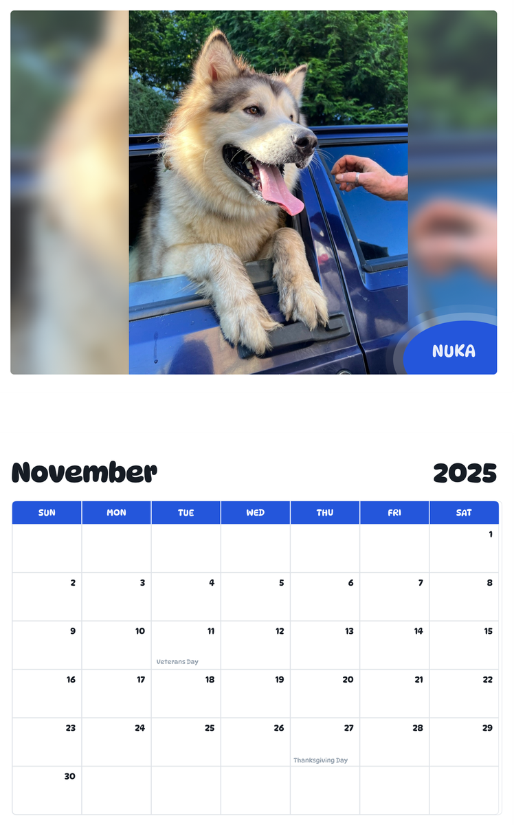 July 2025 - June 2026 Nuka - Pawidols Pet Calendar