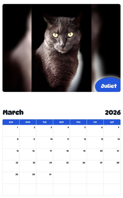 November 2025 - October 2026 Juliet - Pawidols Pet Calendar