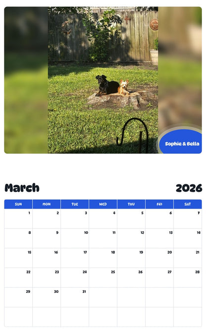 November 2025 - October 2026 Sophie & Bella - Pawidols Pet Calendar