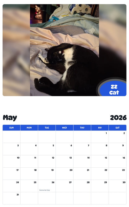 2026 - 2027 ZZ Cat - Pawidols Pet Calendar