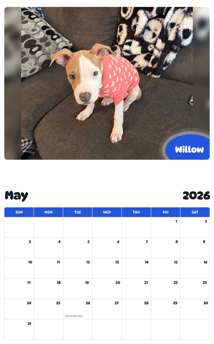 2026 - 2027 Willow - Pawidols Pet Calendar