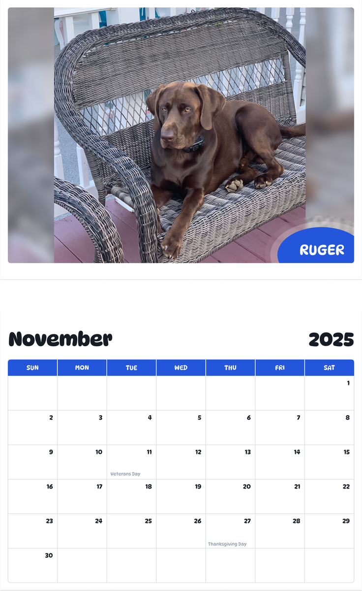 July 2025 - June 2026 Ruger - Pawidols Pet Calendar