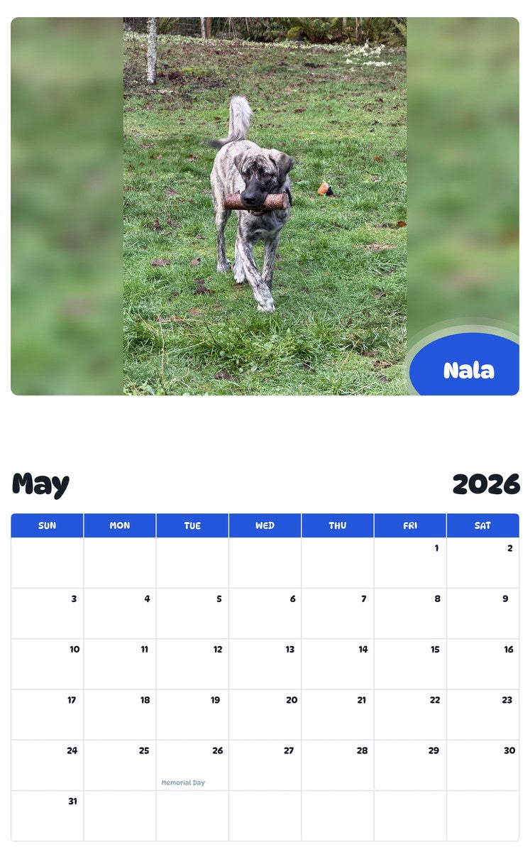 2026 - 2027 Nala - Pawidols Pet Calendar