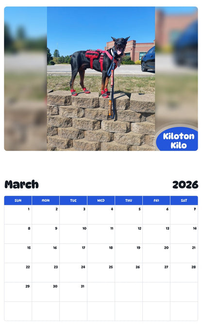 November 2025 - October 2026 Kiloton Kilo - Pawidols Pet Calendar