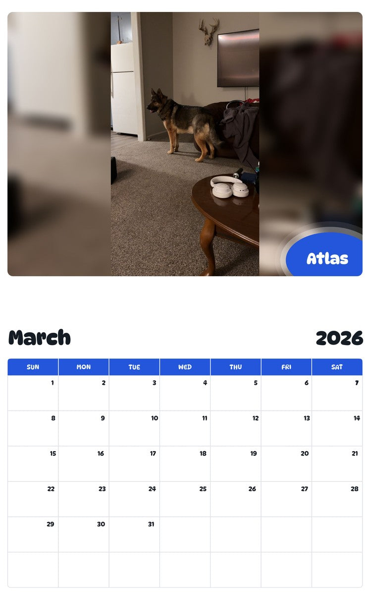 November 2025 - October 2026 Atlas - Pawidols Pet Calendar