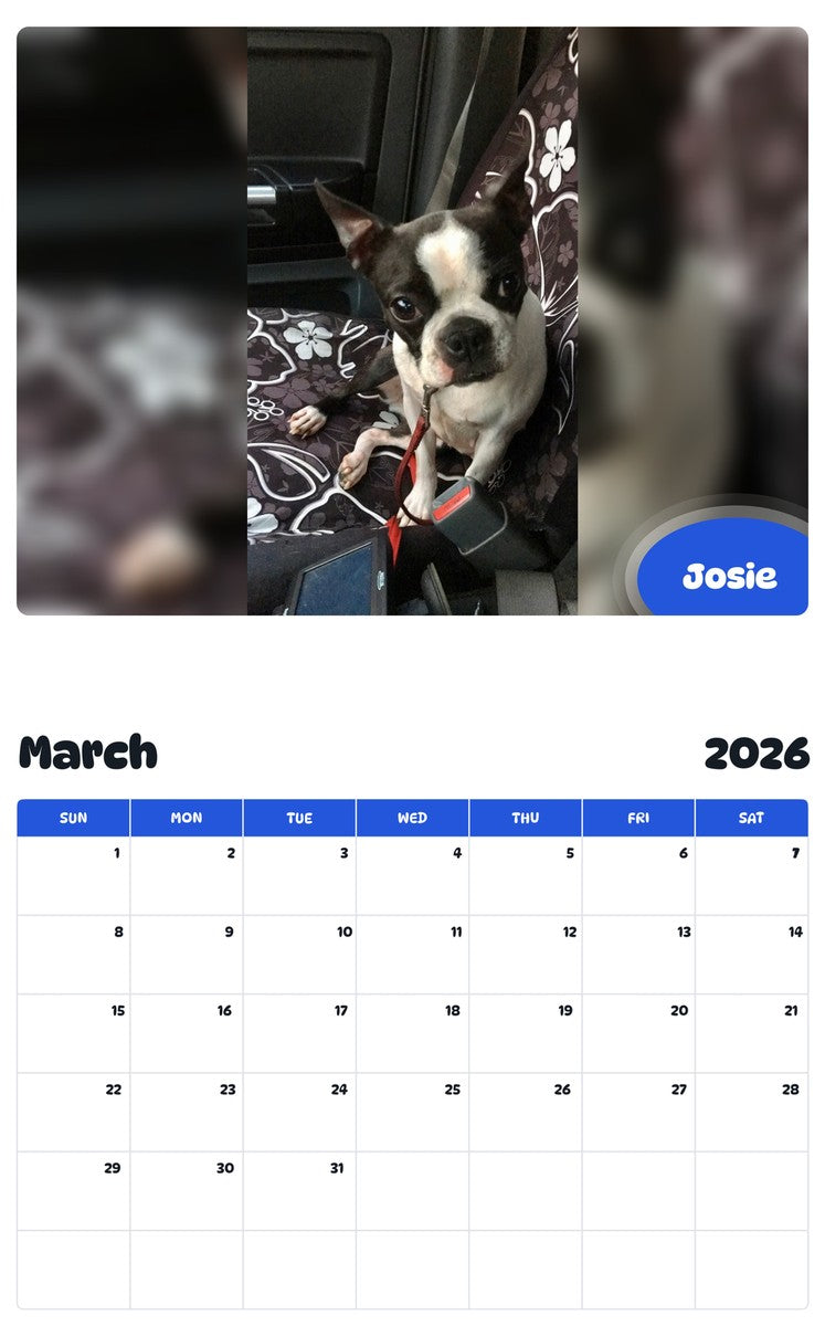November 2025 - October 2026 Josie - Pawidols Pet Calendar
