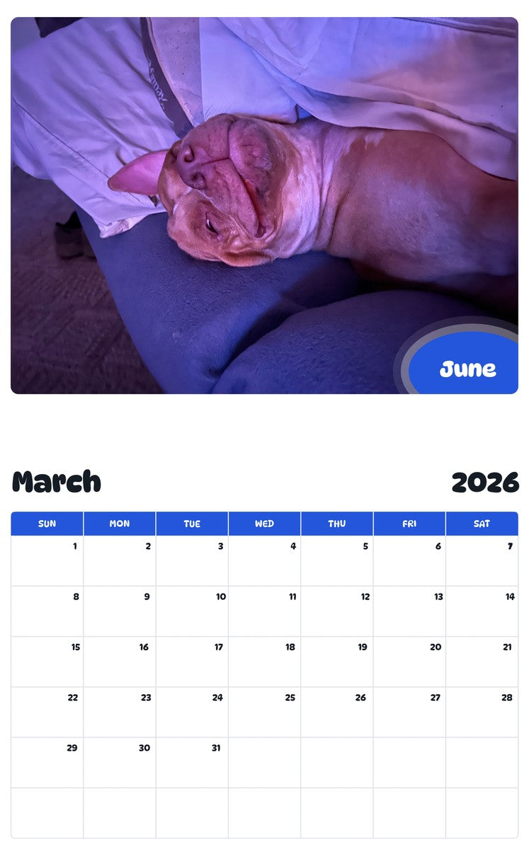 November 2025 - October 2026 June - Pawidols Pet Calendar