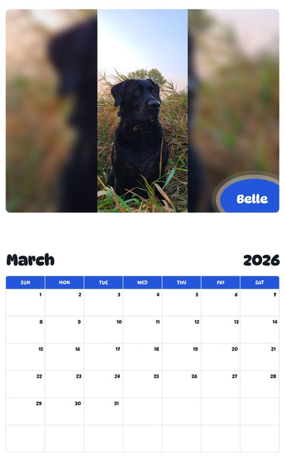 November 2025 - October 2026 Belle - Pawidols Pet Calendar