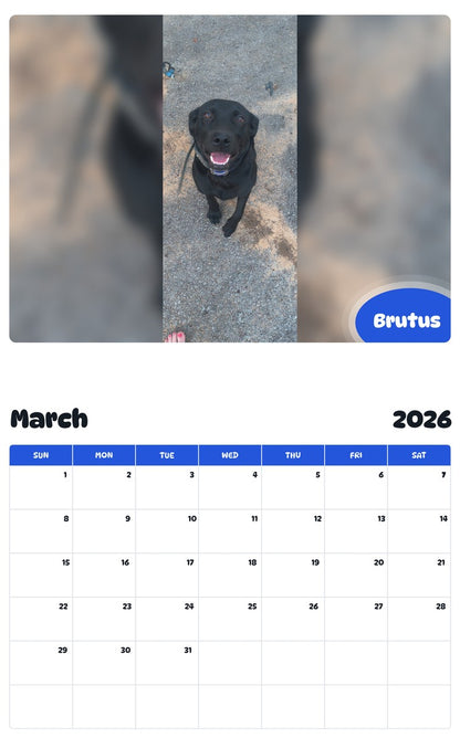November 2025 - October 2026 Brutus - Pawidols Pet Calendar