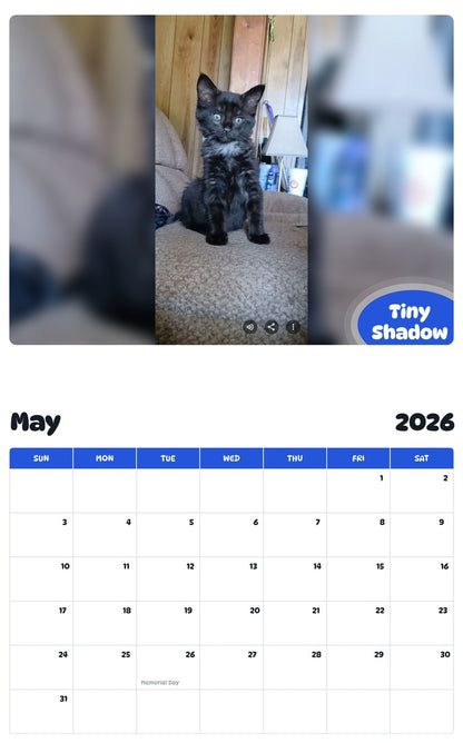 2026 - 2027 Tiny Shadow - Pawidols Pet Calendar