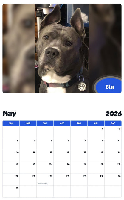 2026 - 2027 Blu - Pawidols Pet Calendar