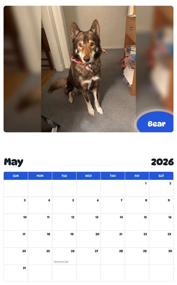 2026 - 2027 Bear - Pawidols Pet Calendar