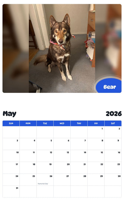 2026 - 2027 Bear - Pawidols Pet Calendar