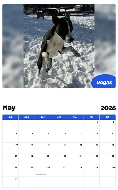 2026 - 2027 Vegas - Pawidols Pet Calendar